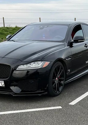 wielkopolskie Jaguar XF cena 79900 przebieg: 115000, rok produkcji 2016 z Siemiatycze